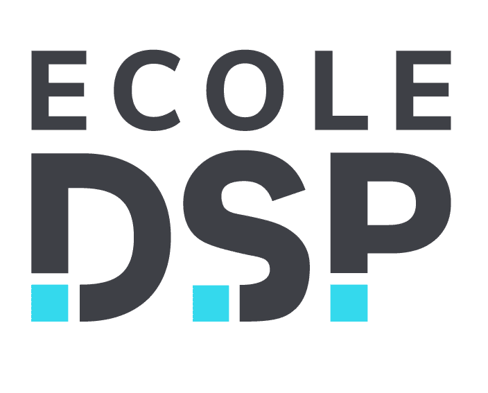 Logo Digital School of Paris